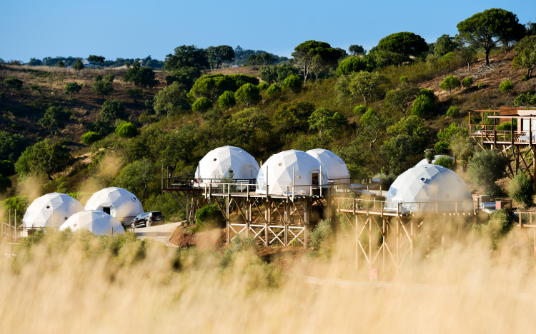 Geodesic domes