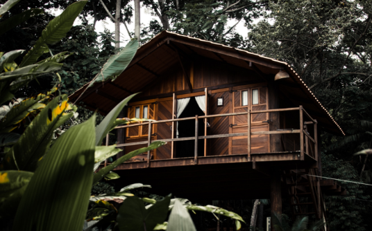 Tree houses